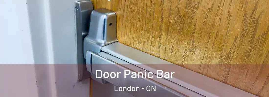 Door Panic Bar London - ON