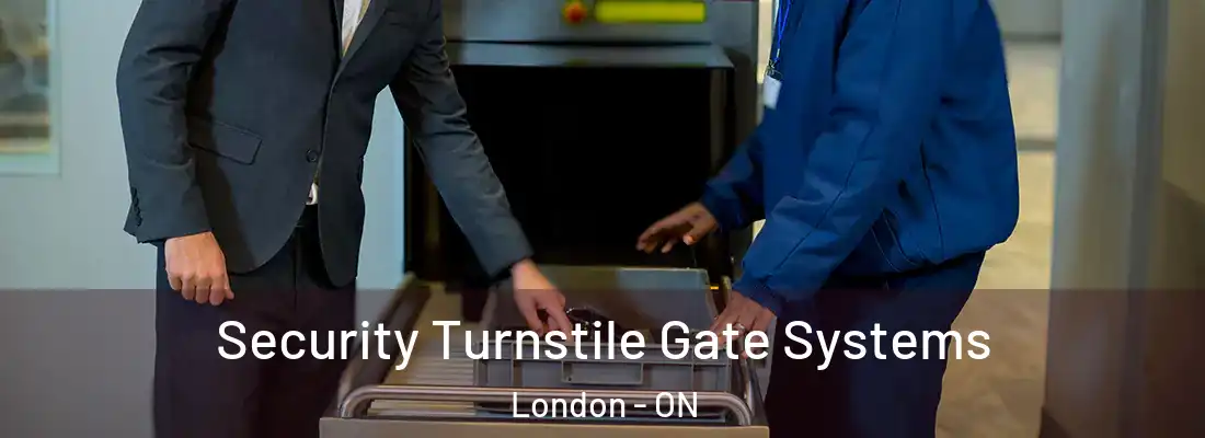 Security Turnstile Gate Systems London - ON